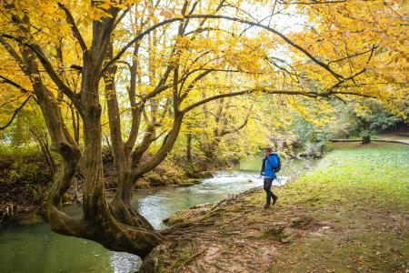Dolenjske Toplice, Jošt Gantar 
